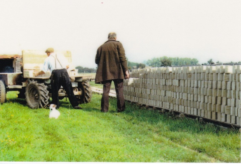16a.jpg