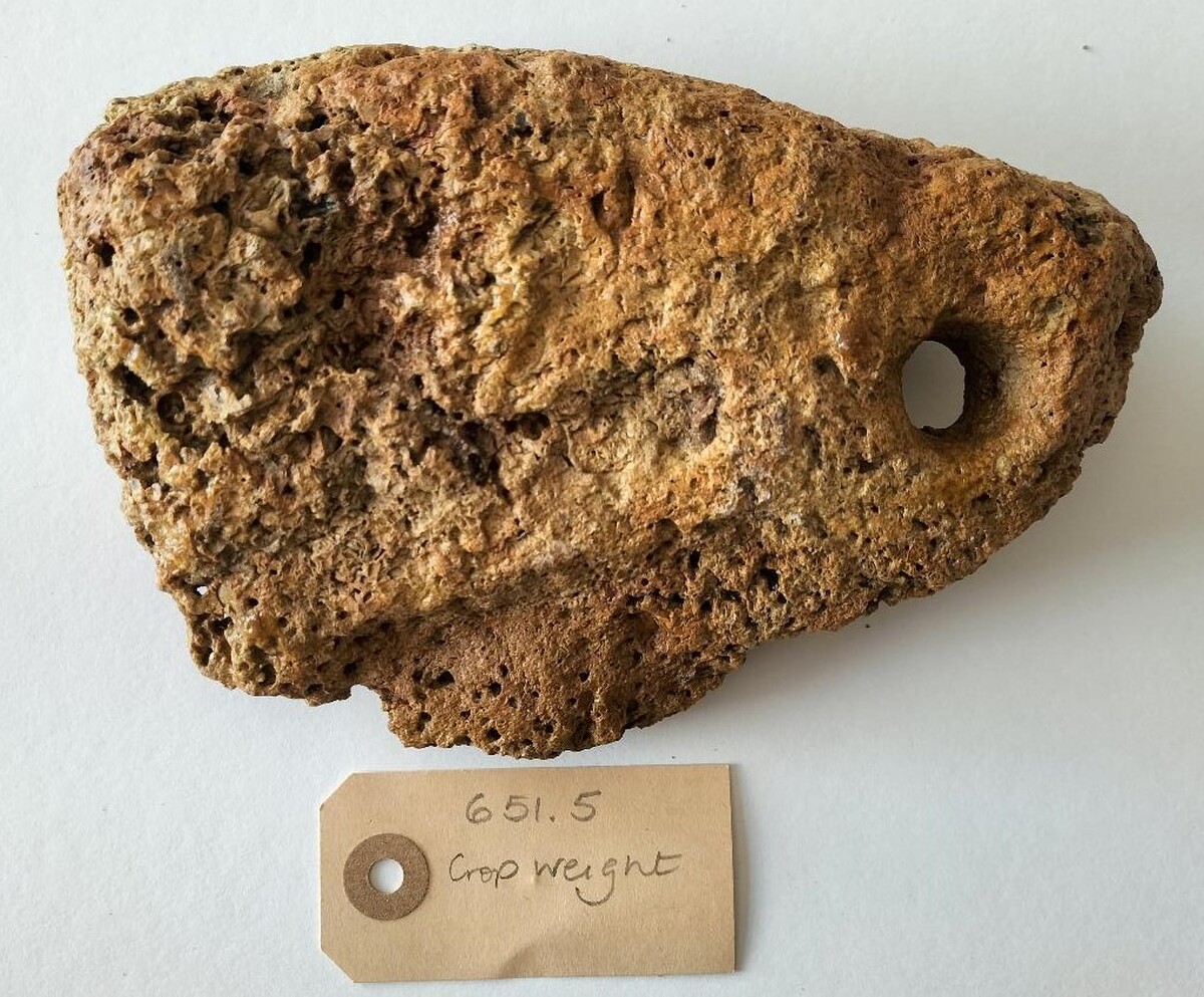 EMHT651.5.jpg