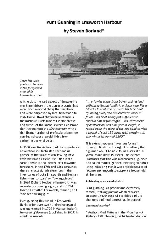 Punt Gunning.pdf