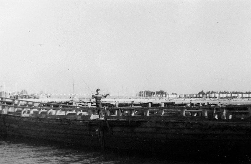 ACQ219-3-5.jpg
