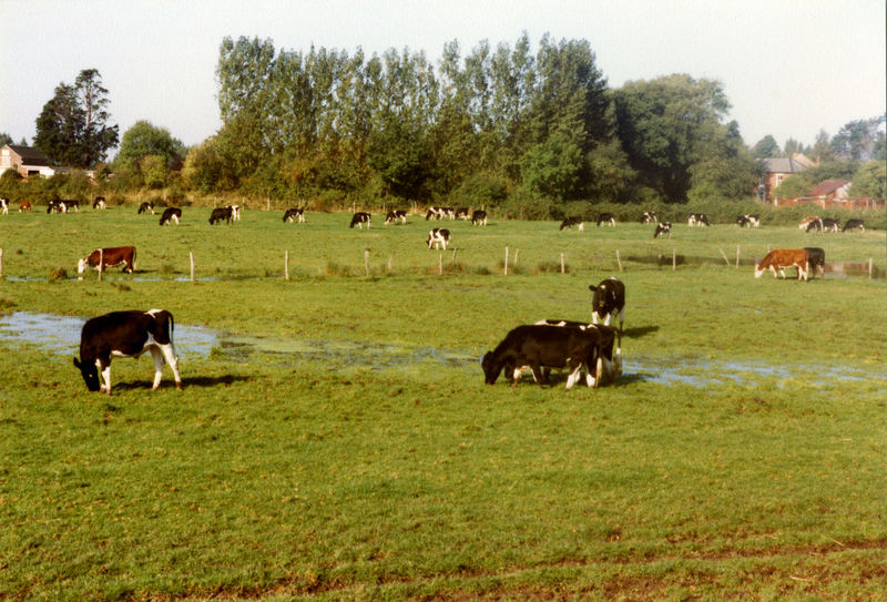 ACQ642-15-4.jpg