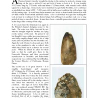 Two Prehistoric Axes